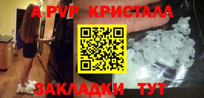 шишки Балашиха