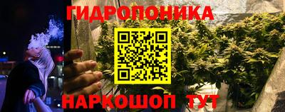 шишки Балашиха