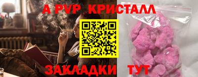 шишки Балашиха